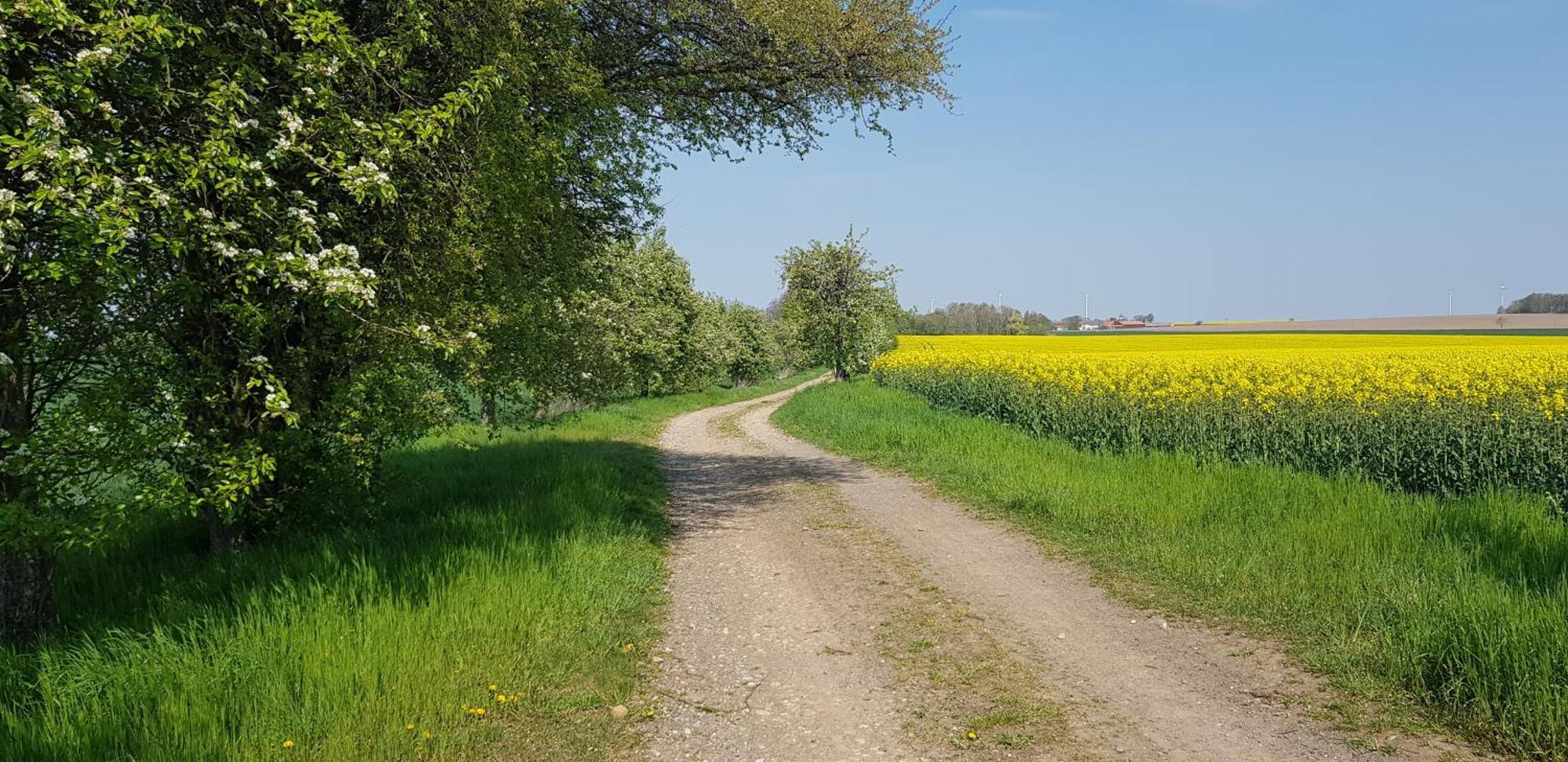 Auf Gut Boertewitz